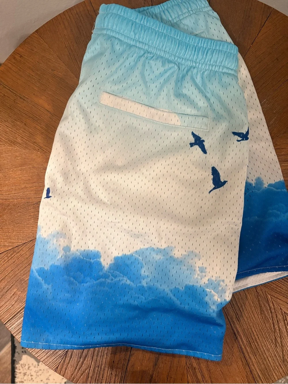 YoungLA Men's Sky-to-Cobalt Gradient Swim Trunks with Bird Motif